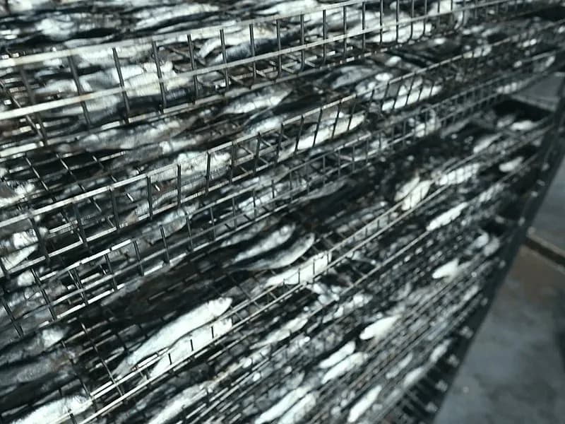 Ethical ingredient sourcing