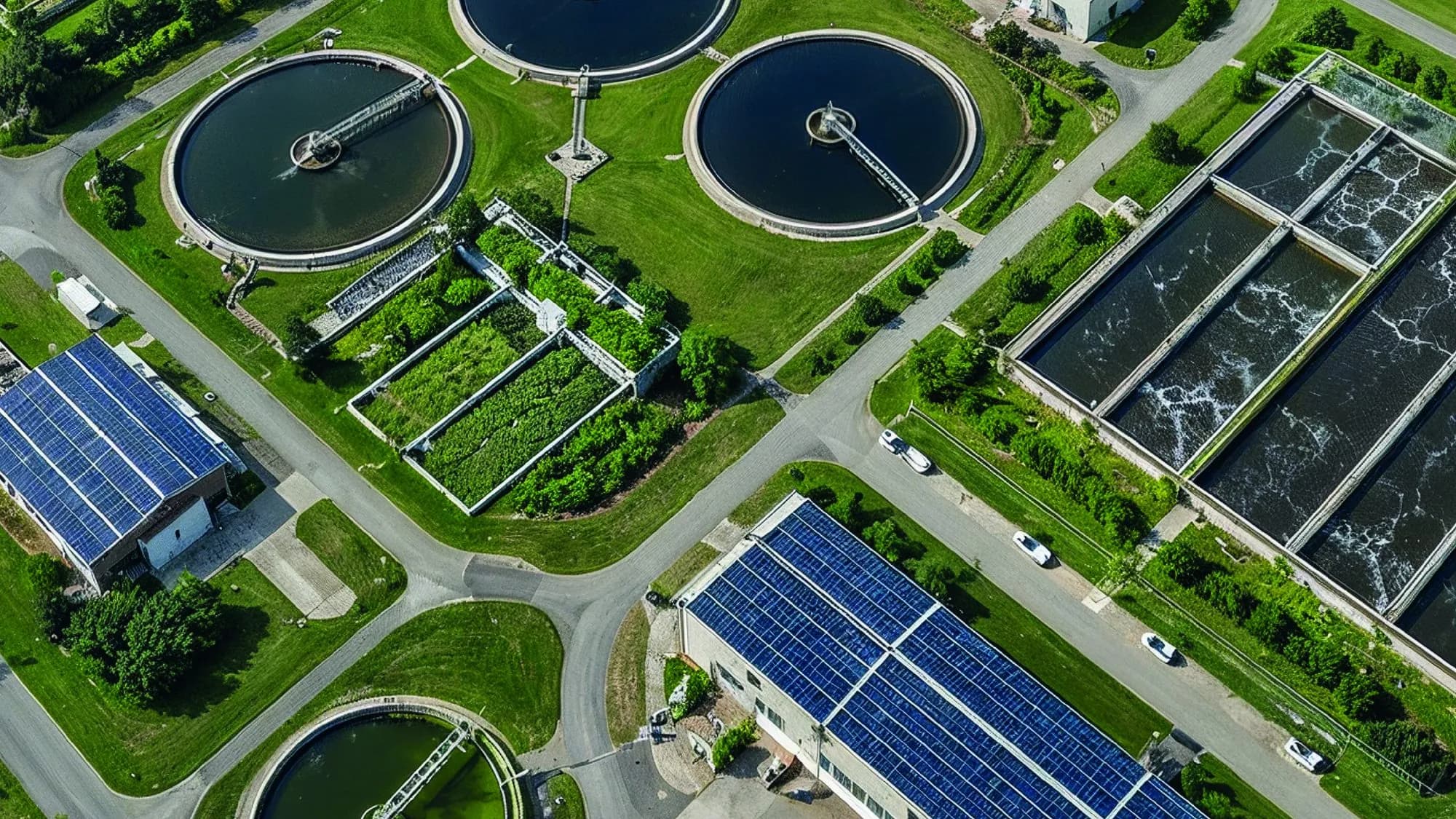 Global Pet's Food facility with solar installations