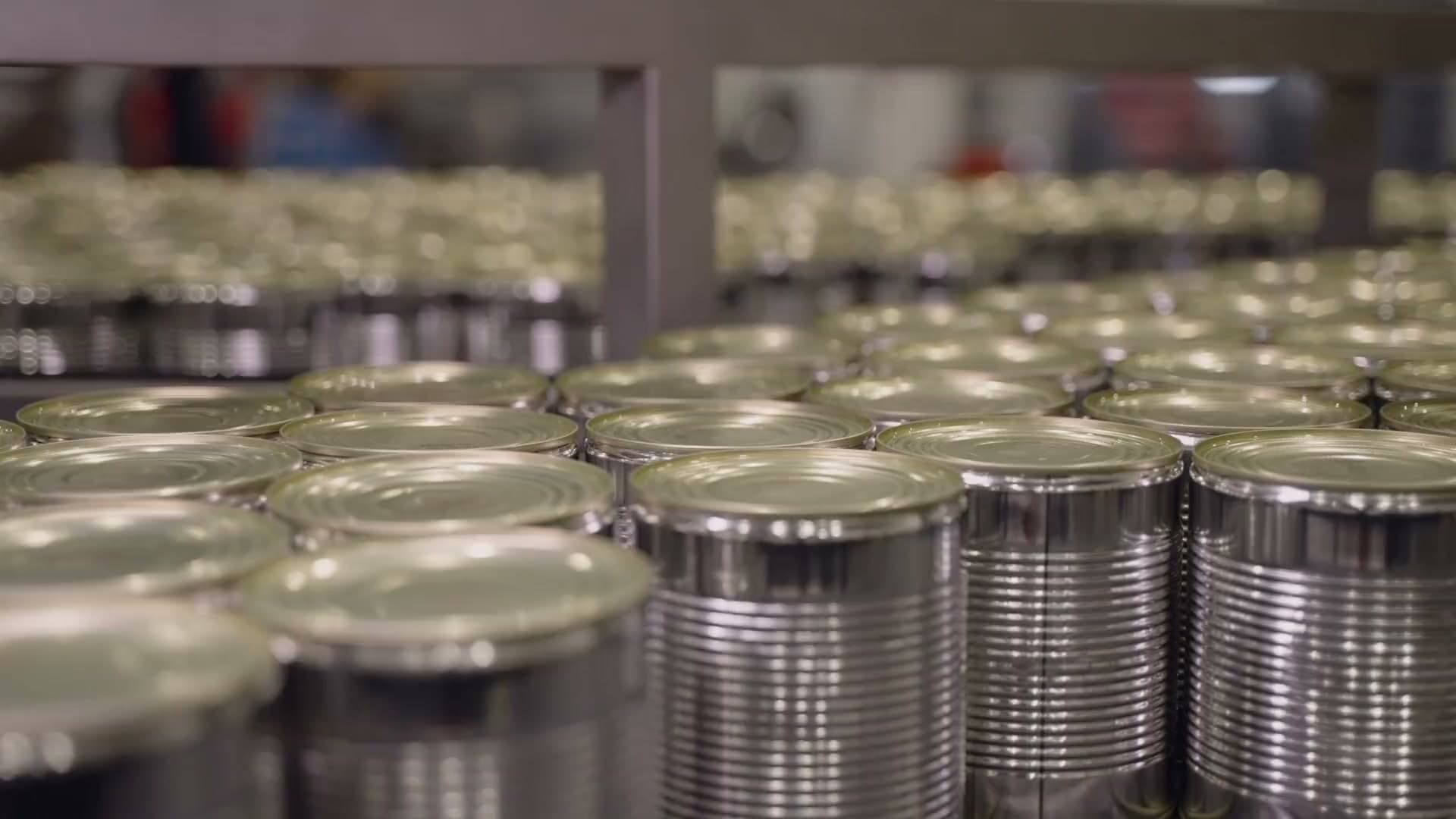 Global Pet's Food production line